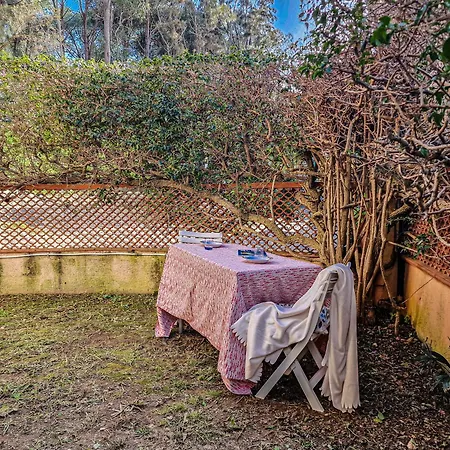 Il Porto 2 ポルト・アッズッロ